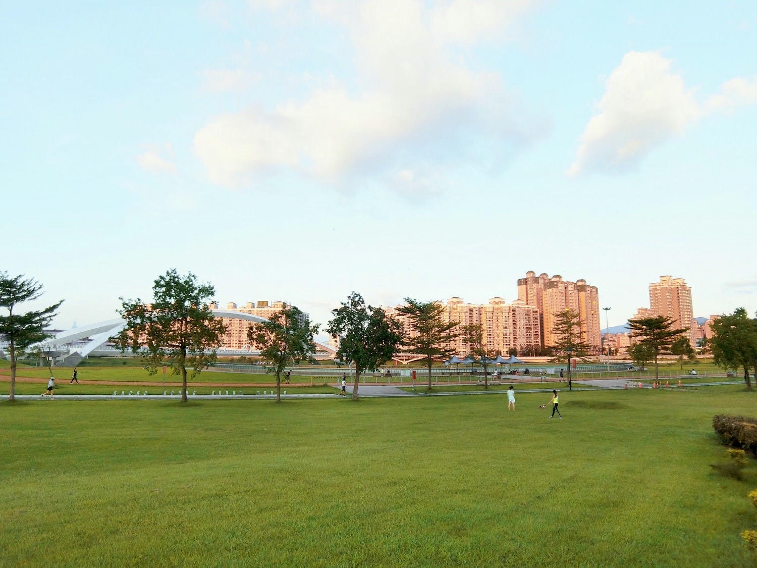 【毛小孩】｜新店｜陽光運動公園 在城市中也能讓毛小孩放手奔跑的好去處～