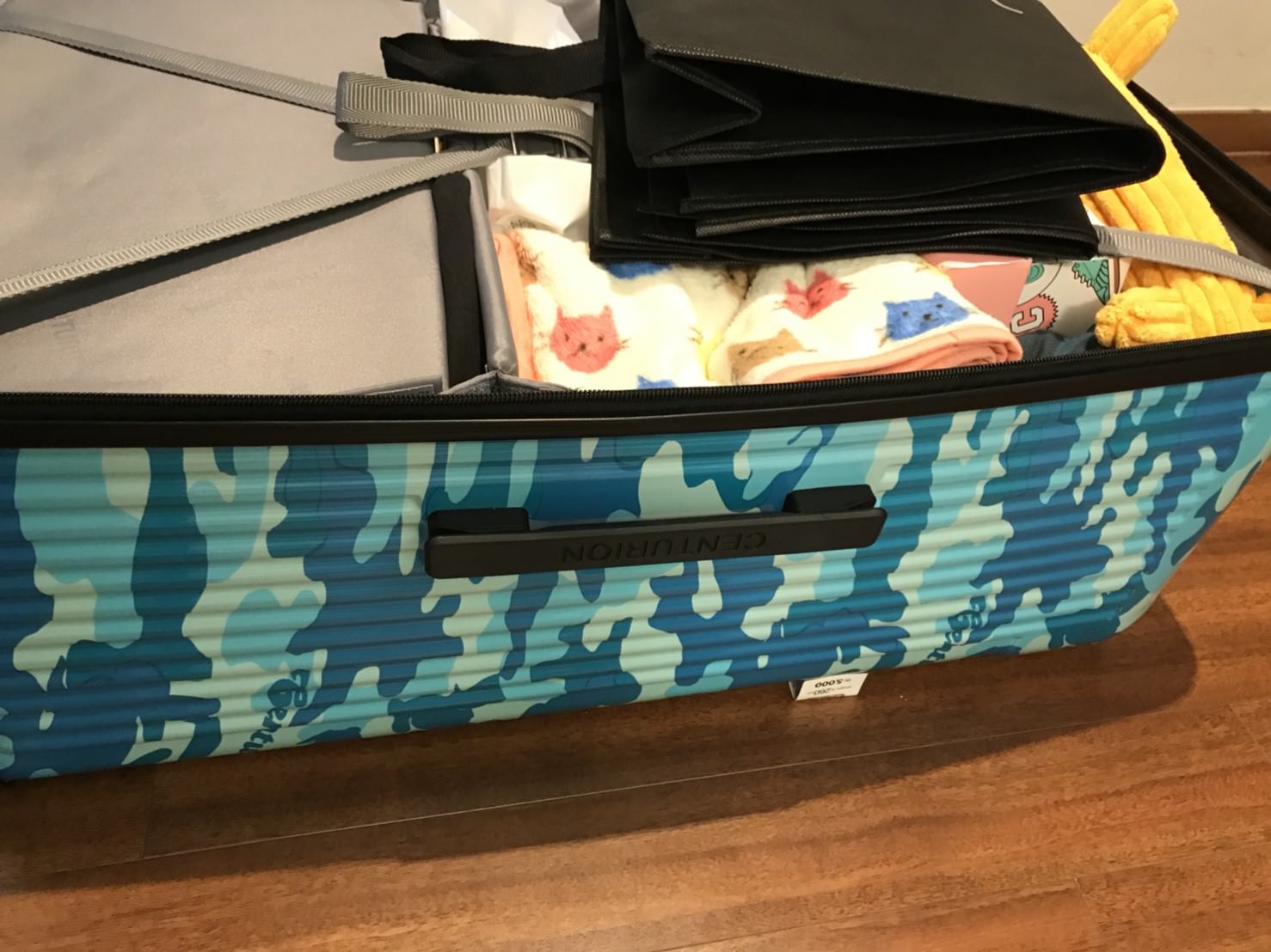 【旅遊】旅行的好朋友 ♡ Centurion百夫長｜迷彩胖胖箱 使用心得！